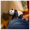 Giant Panda - Image 2