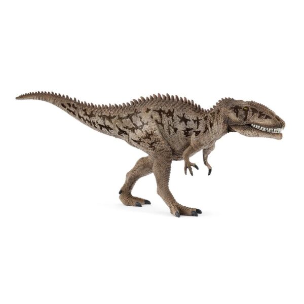 Carcharodontosaurus 662 0240 0