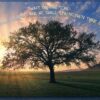Coastal Sympathy - Boxed Greeting Cards