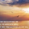 Coastal Sympathy - Boxed Greeting Cards - Image 4