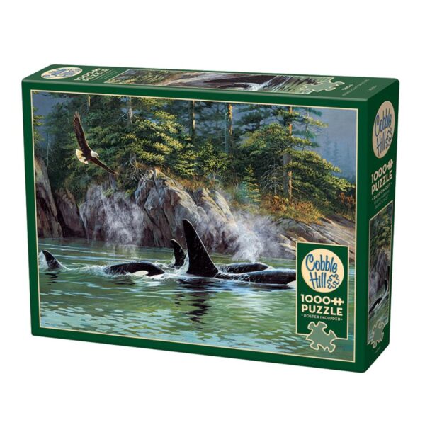 1000 Pc Puzzle - Orcas