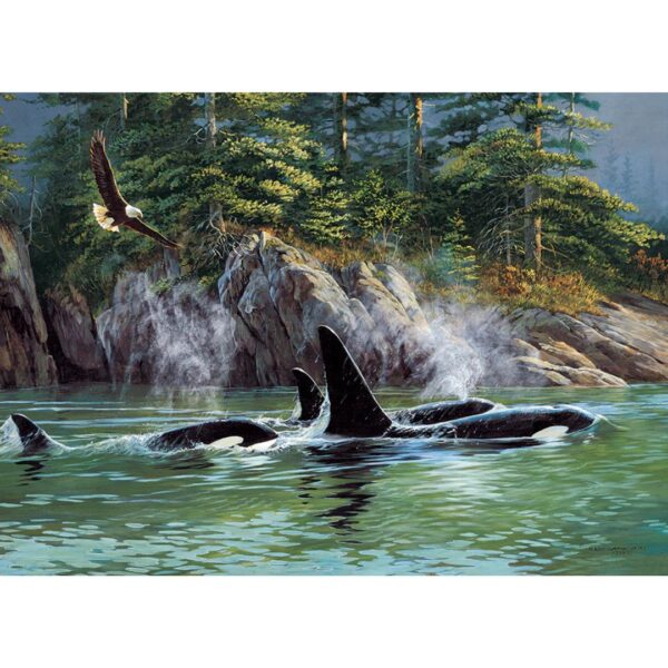 1000 Pc Puzzle - Orcas - Image 2