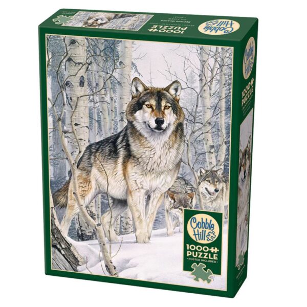 1000 Pc Puzzle - Second Glance