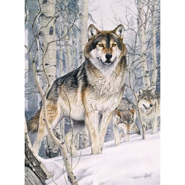 1000 Pc Puzzle - Second Glance - Image 2