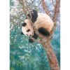 1000 Pc Puzzle - Golden Child - Image 2