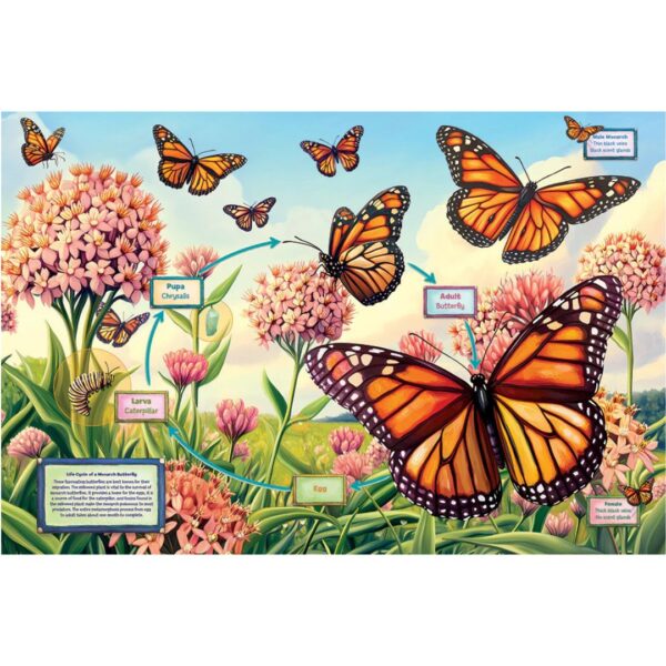 35 Pc Floor Puzzle - Life Cycle of a Monarch - Image 2
