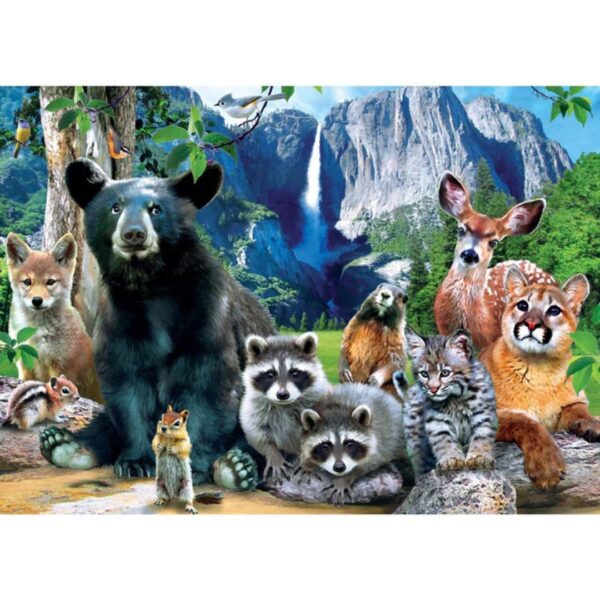 500 Pc Puzzle - Yosemite National Park