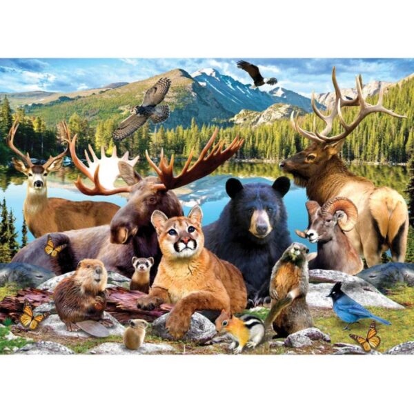500 Pc Puzzle - Rocky Mountain National Park