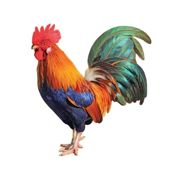 100 Pc Puzzle - Rooster - Image 2