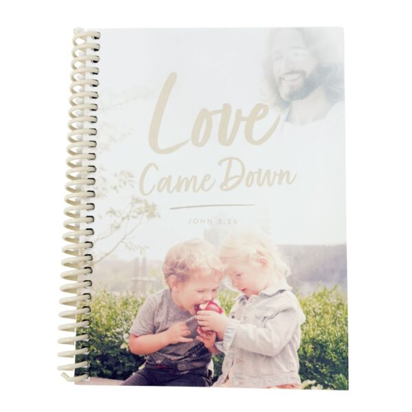 Love Came Down