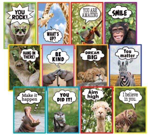 Go Wild Animals Small Poster Pack