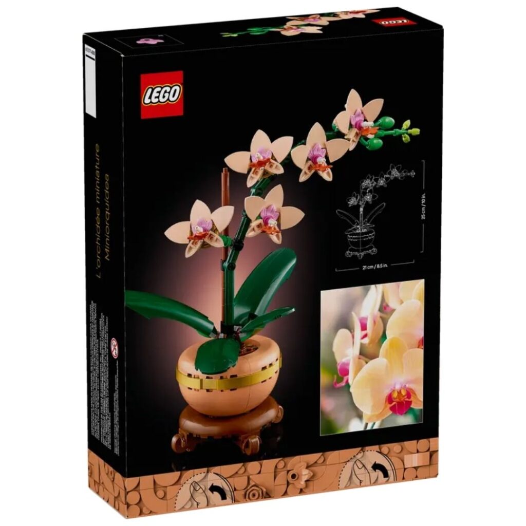 Image of Botanicals Mini Orchid