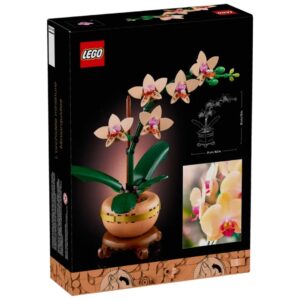 Image of Botanicals Mini Orchid