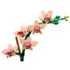 Botanicals Mini Orchid - Image 4