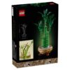 Botanicals Lucky Bamboo