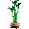 Botanicals Lucky Bamboo - Image 2