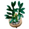 Botanicals Lucky Bamboo - Image 3