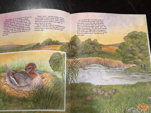 The Ugly Duckling (Used) - Image 3