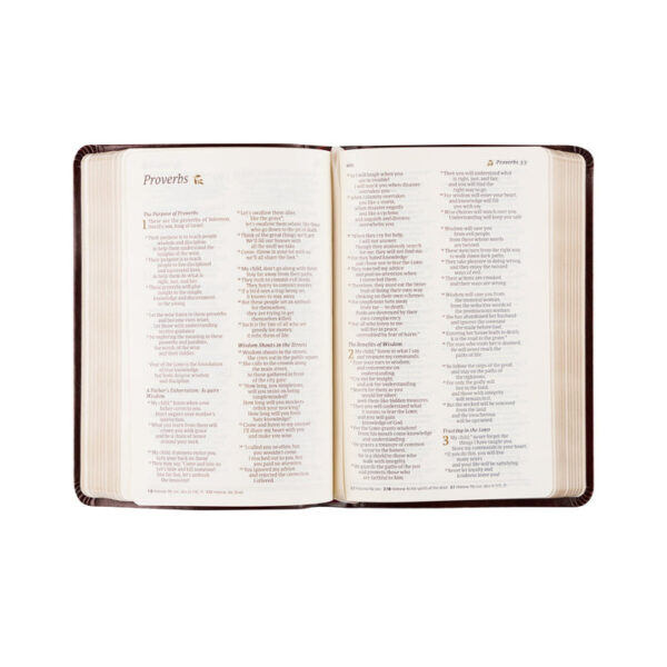 NLT Compact Bible: Yorkshire Theme - Image 5