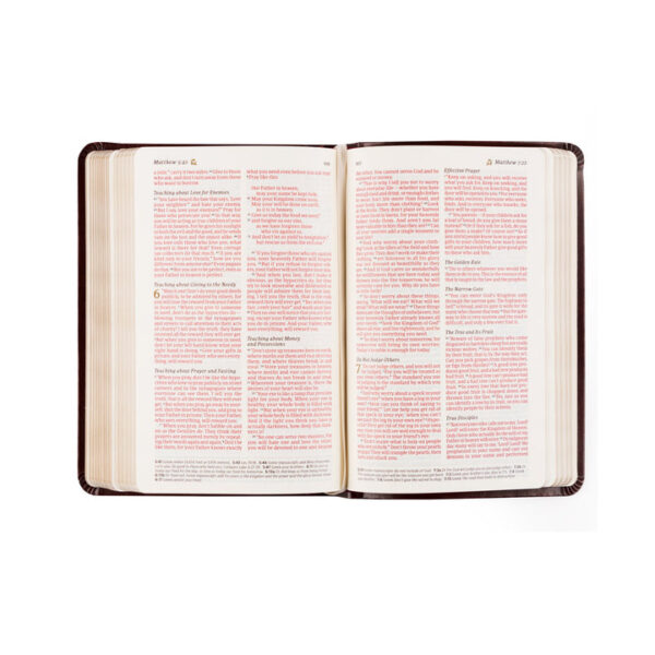 NLT Compact Bible: Yorkshire Theme - Image 6