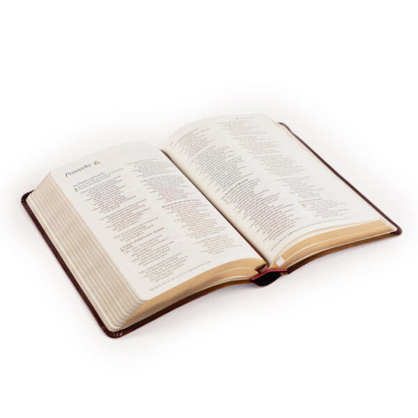NLT Compact Bible: Yorkshire Theme - Image 7