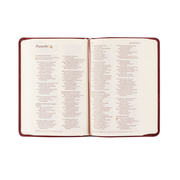 NLT Compact Bible: Helena Theme - Image 5