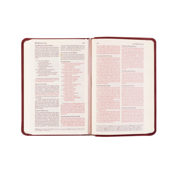 NLT Compact Bible: Helena Theme - Image 6