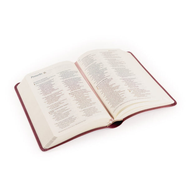 NLT Compact Bible: Helena Theme - Image 7