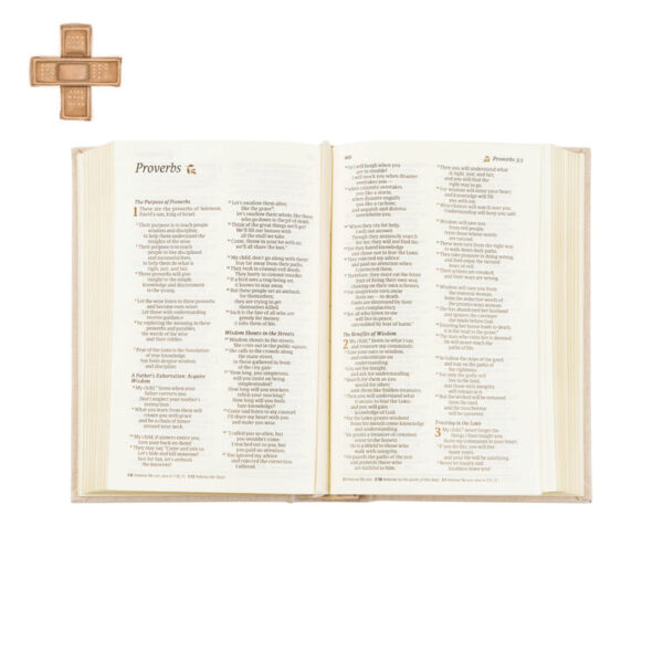 NLT Compact Bible: Casablanca Theme - Image 6