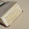 Hosanna Revival Bible Tabs: Black - Image 8
