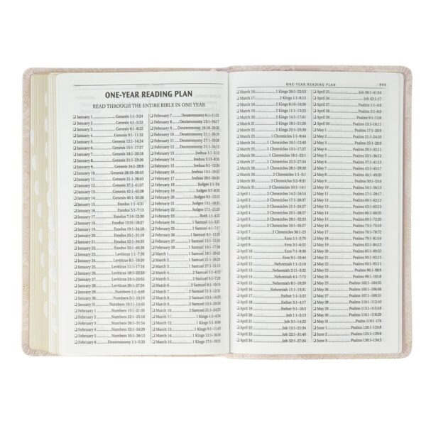 KJV Bible Deluxe Gift Faux Leather, Pink - Image 4