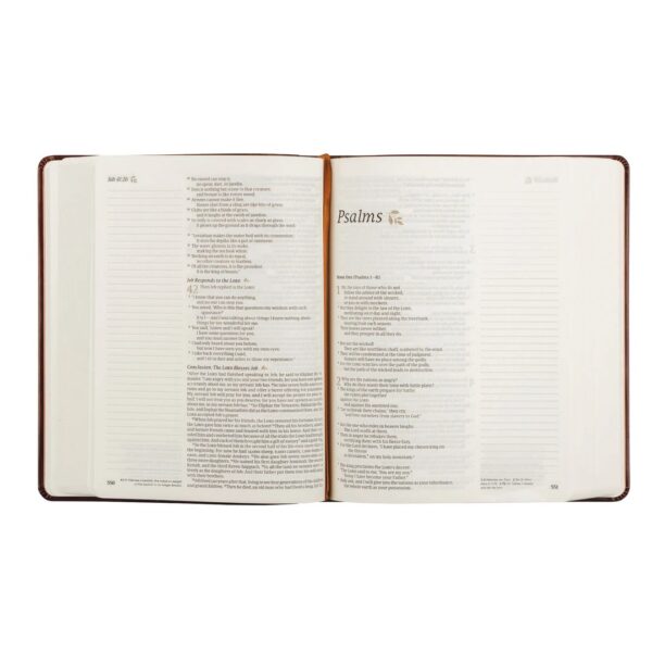 NLT Notetaking Bible : Santa Elena Theme - Image 5