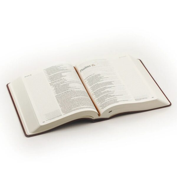 NLT Notetaking Bible : Santa Elena Theme - Image 6