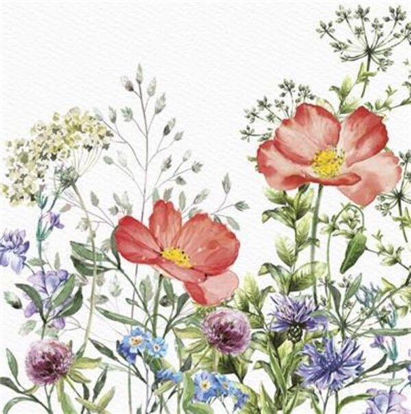 Meadow in June Napkin