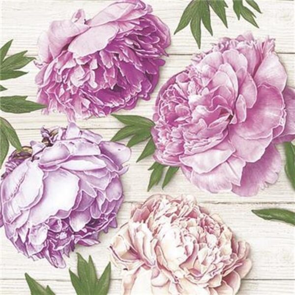 Peonies Paper Napkin