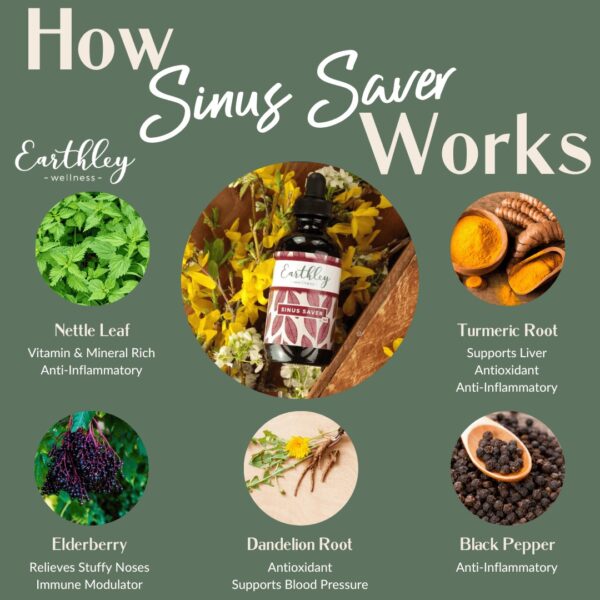 Sinus Saver 2oz. Alcohol- FREE Version - pre-order - Image 2