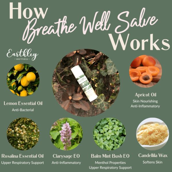 Breathe Well Salve  -  Pre-Order Now | ETA: Mid June - Image 2