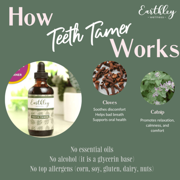 Teeth Tamer 2oz. - pre-order - Image 2