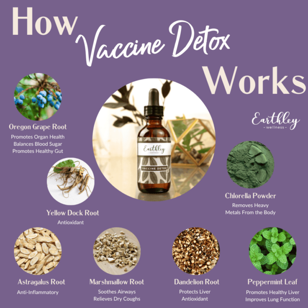 Vaccine Detox 1oz.  -  Pre-Order Now | ETA: Mid June - Image 2