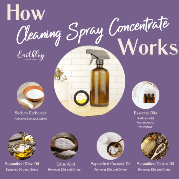 Cleaning Spray Concentrate 2oz.  -  Pre-Order Now | ETA: Mid June - Image 2