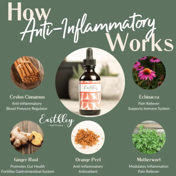 Anti Inflammatory 2oz.  -  Pre-Order Now | ETA: Mid June - Image 2