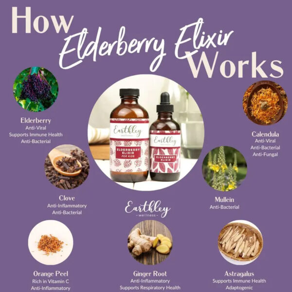 Elderberry Elixir 2oz. Alcohol FREE Version  -  Pre-Order Now | ETA: Mid June - Image 2