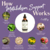Metabolism Support  1oz.  -  Pre-Order Now | ETA: Mid June - Image 2