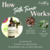 Teeth Tamer 1oz. - pre-order - Image 2