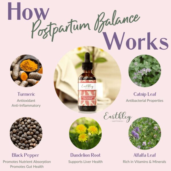 Postpartum Balance 2oz.  -  Pre-Order Now | ETA: Mid June - Image 2