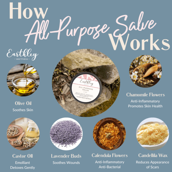 All Purpose Salve 0.5 oz. Stick - Image 3