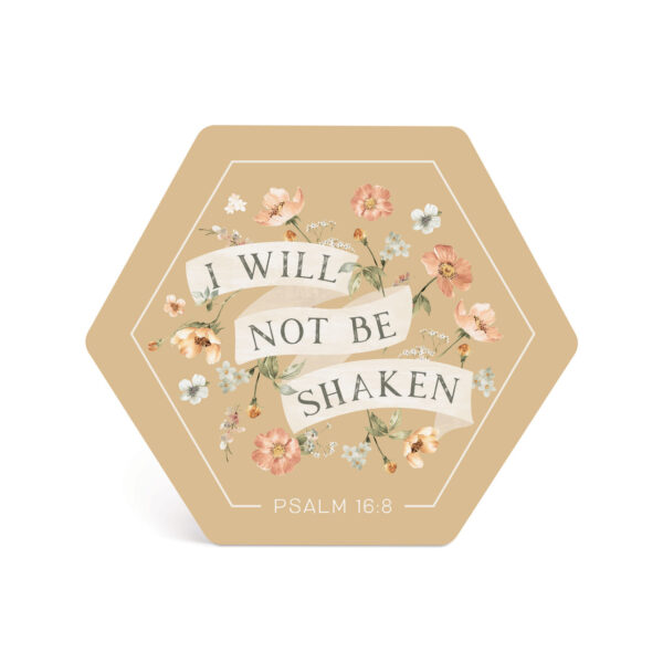 Shape Sign - I Will Not Be Shaken