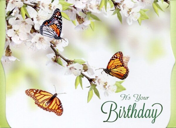 Boxed Birthday Cards - Spring Floral - Image 4