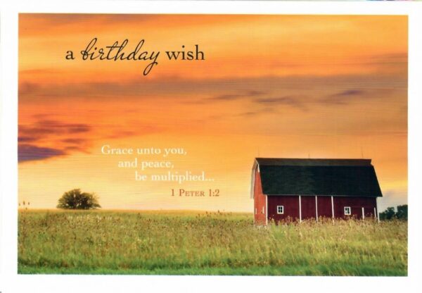 Boxed Birthday Cards - Heartland Greetings - Image 4