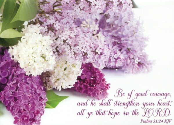 Boxed Encouragement Cards - Lilacs